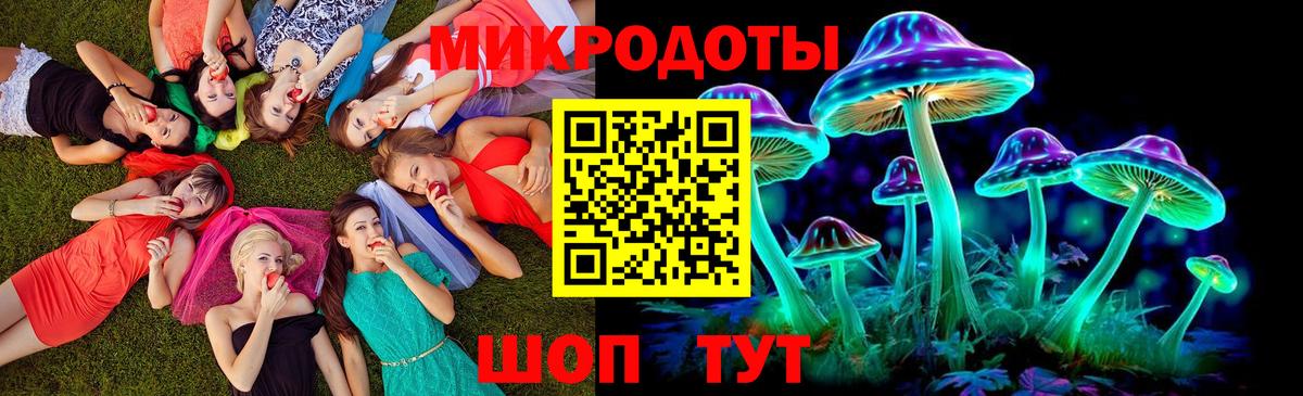 Галлюциногенные грибы MAGIC MUSHROOMS Курганинск